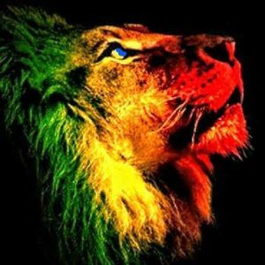 Meet your Posher, Travis